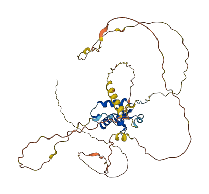 FOXD4L1 3D structure