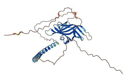 GINM1 3D structure