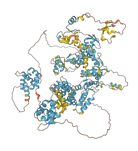 ZBTB40 3D structure