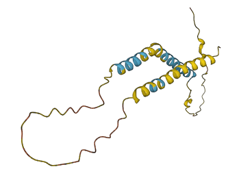 C20orf141 3D structure