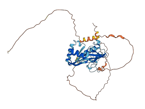 ZCCHC3 3D structure