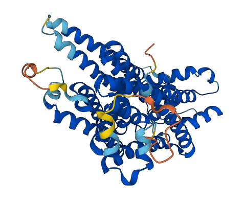 PIGV 3D structure
