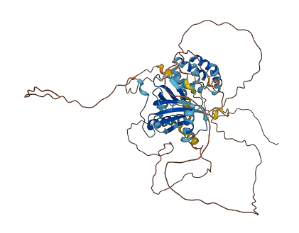 CCM2L 3D structure