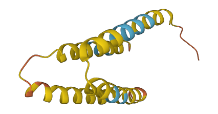 TMEM14B 3D structure