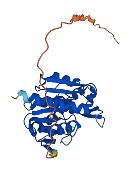 ABHD10 3D structure