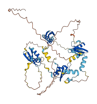 STAU2 3D structure