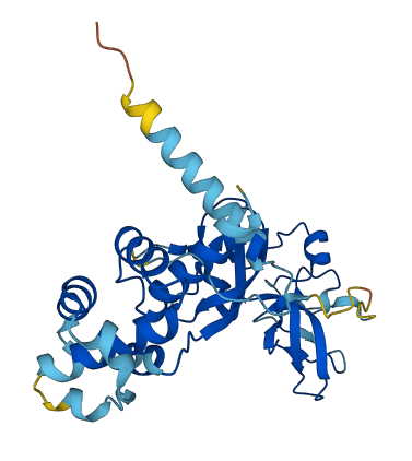 SHFL 3D structure