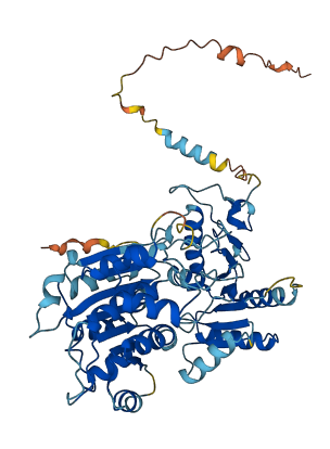 DDX28 3D structure