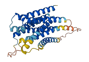 SLC39A9 3D structure