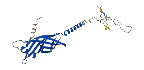 TMEM106B 3D structure