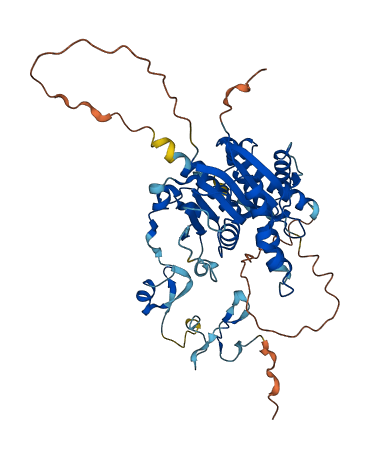 TRMT13 3D structure