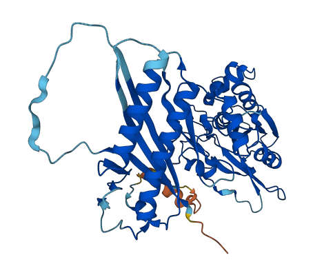 UFSP2 3D structure