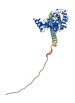 OTULINL 3D structure