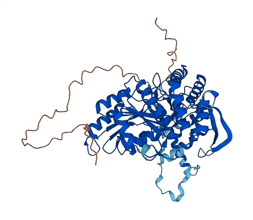 SPTLC3 3D structure