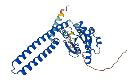 GIMAP4 3D structure
