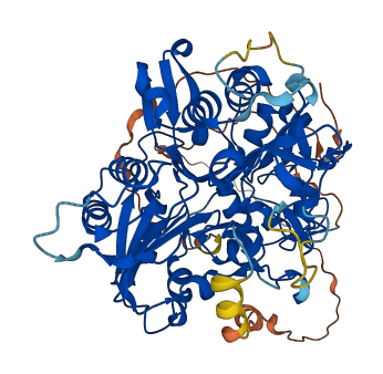 TDP1 3D structure