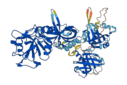 POT1 3D structure