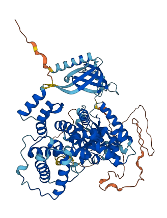 TBC1D23 3D structure