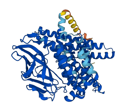 ACOXL 3D structure