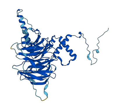 DCAF13 3D structure