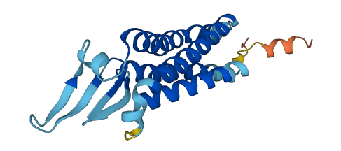 TMEM140 3D structure