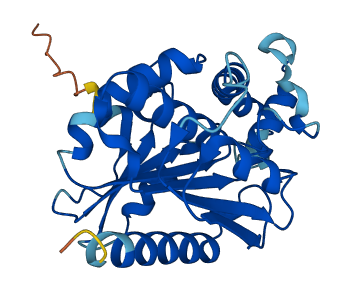 OLAH 3D structure