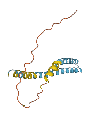 TMEM100 3D structure