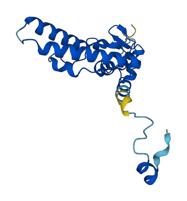 IMP3 3D structure