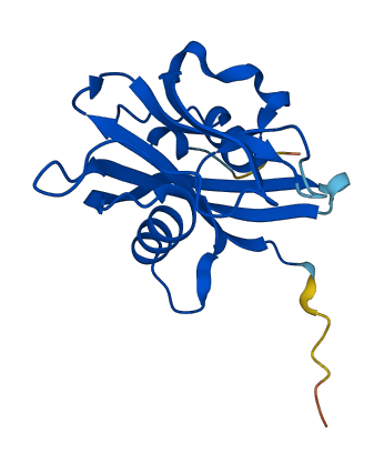 NUDT15 3D structure