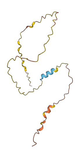 PRR34 3D structure