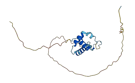 MRGBP 3D structure