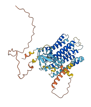 TMEM39A 3D structure