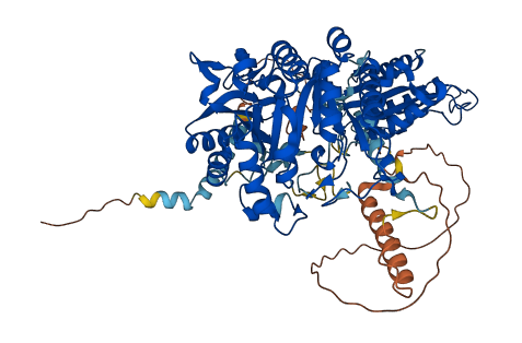 TYW1 3D structure
