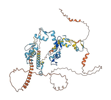 ZNF701 3D structure