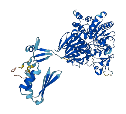 INTS9 3D structure