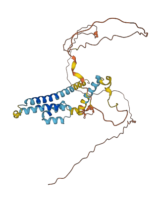 NDFIP2 3D structure