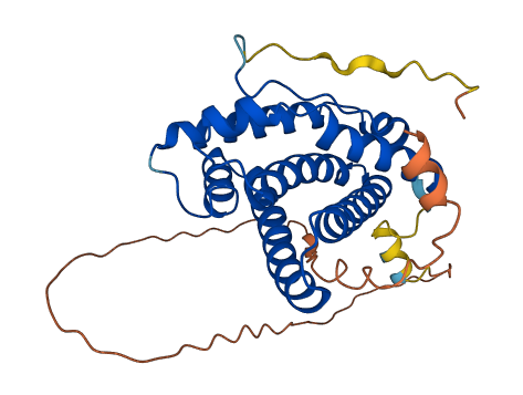 UQCC1 3D structure