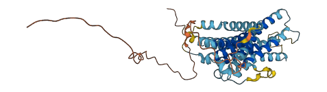 TMEM184C 3D structure