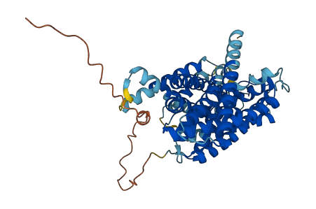 SLC38A7 3D structure