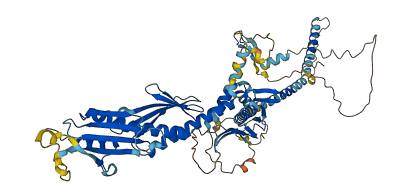 MED17 3D structure