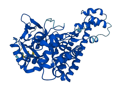 SETD4 3D structure
