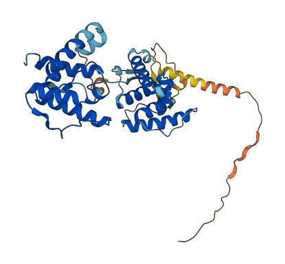 PARVA 3D structure