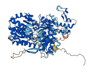 PANK4 3D structure