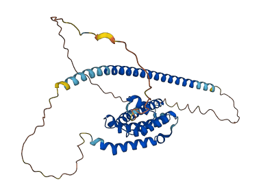 FBXO28 3D structure
