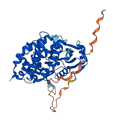 ETNK2 3D structure