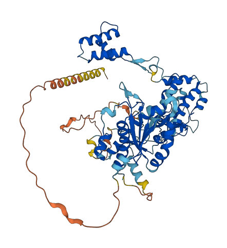 EXD2 3D structure