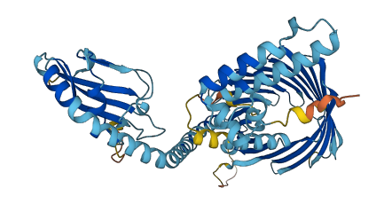DNAJC11 3D structure