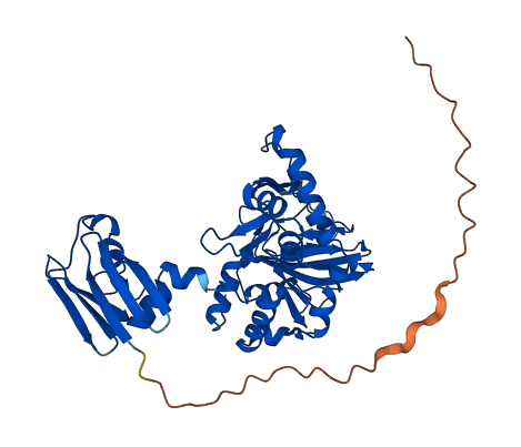 TMLHE 3D structure