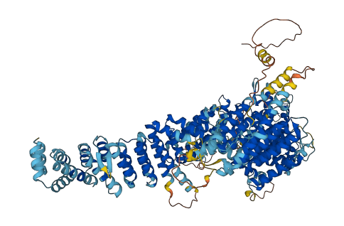 FANCI 3D structure