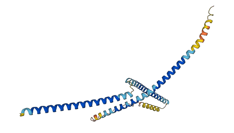 FGFR1OP2 3D structure
